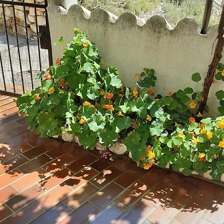 Apartman Legac Starigrad  Buitenkant foto