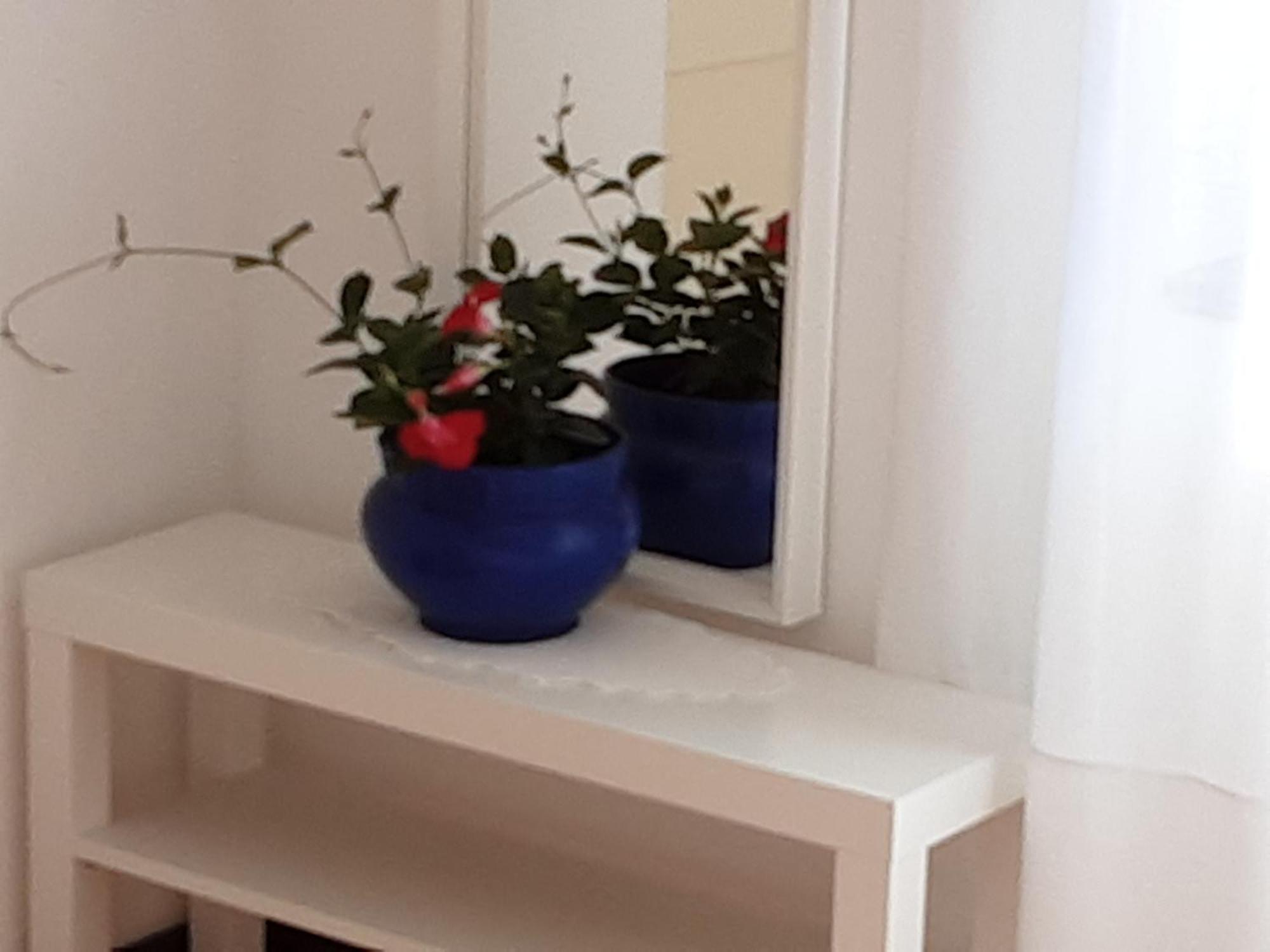 Apartman Legac Starigrad  Kamer foto