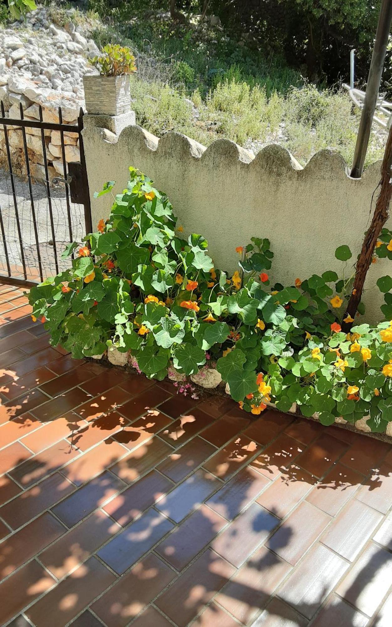 Apartman Legac Starigrad  Buitenkant foto